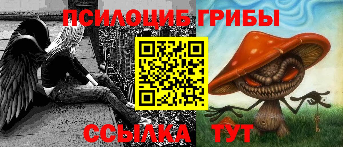 Галлюциногенные грибы MAGIC MUSHROOMS  Вход с VPN  Реж 
